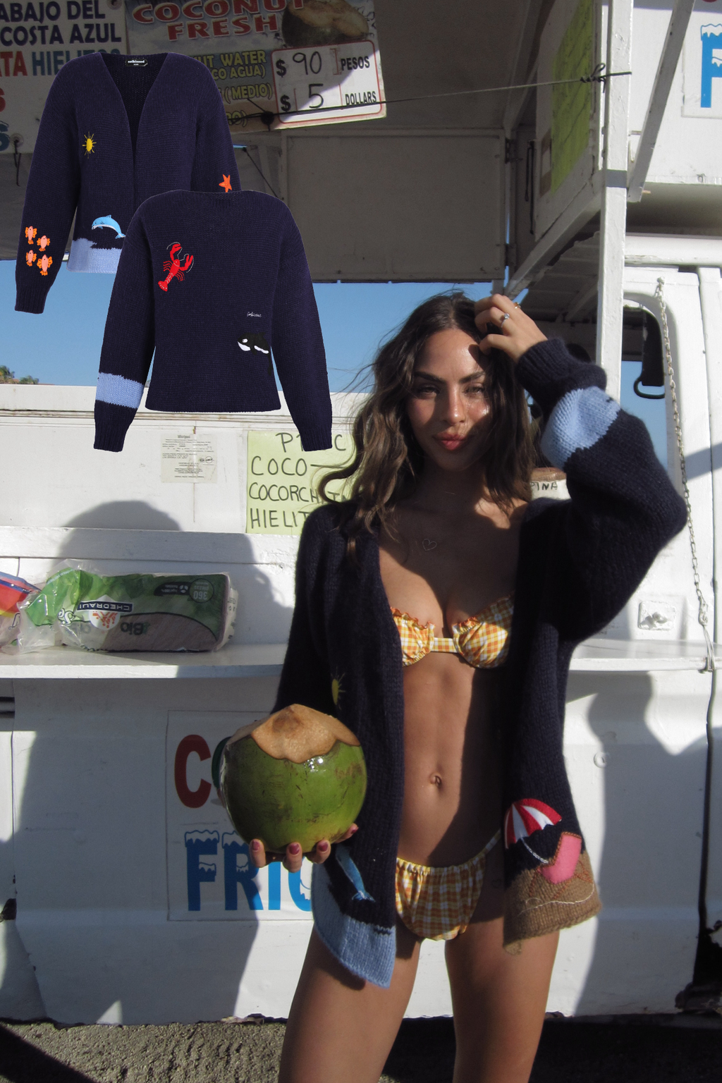 PARACAS SWEATER - SEA LIFE